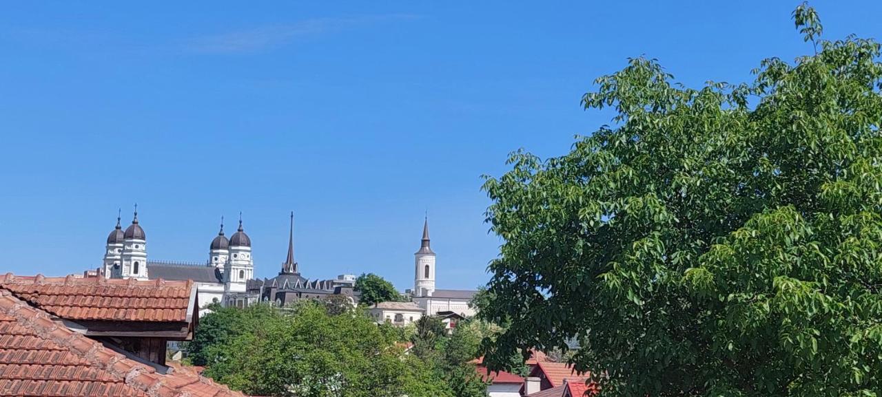 Central Palace Iasi Apart 2 Ngoại thất bức ảnh